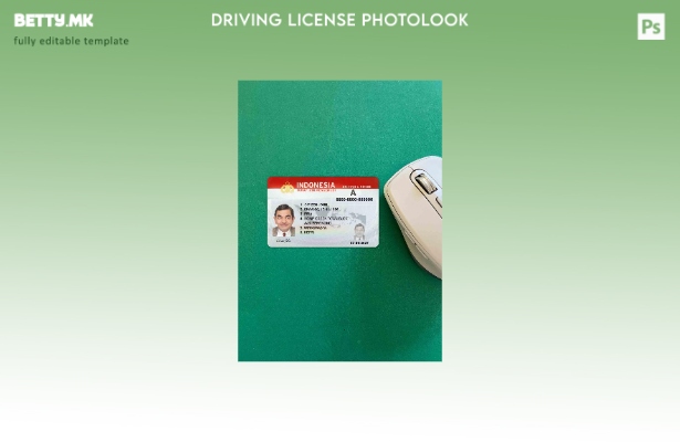 Возачка дозвола во модерен стил на Индонезија ( – сегашен) шаблон photolook FRON